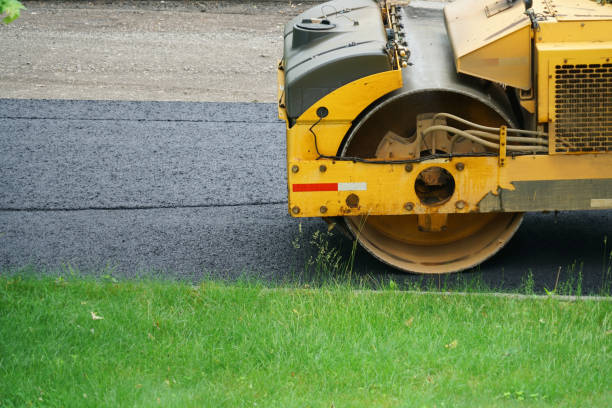 Professional Driveway Pavers in Shackle Island, TN